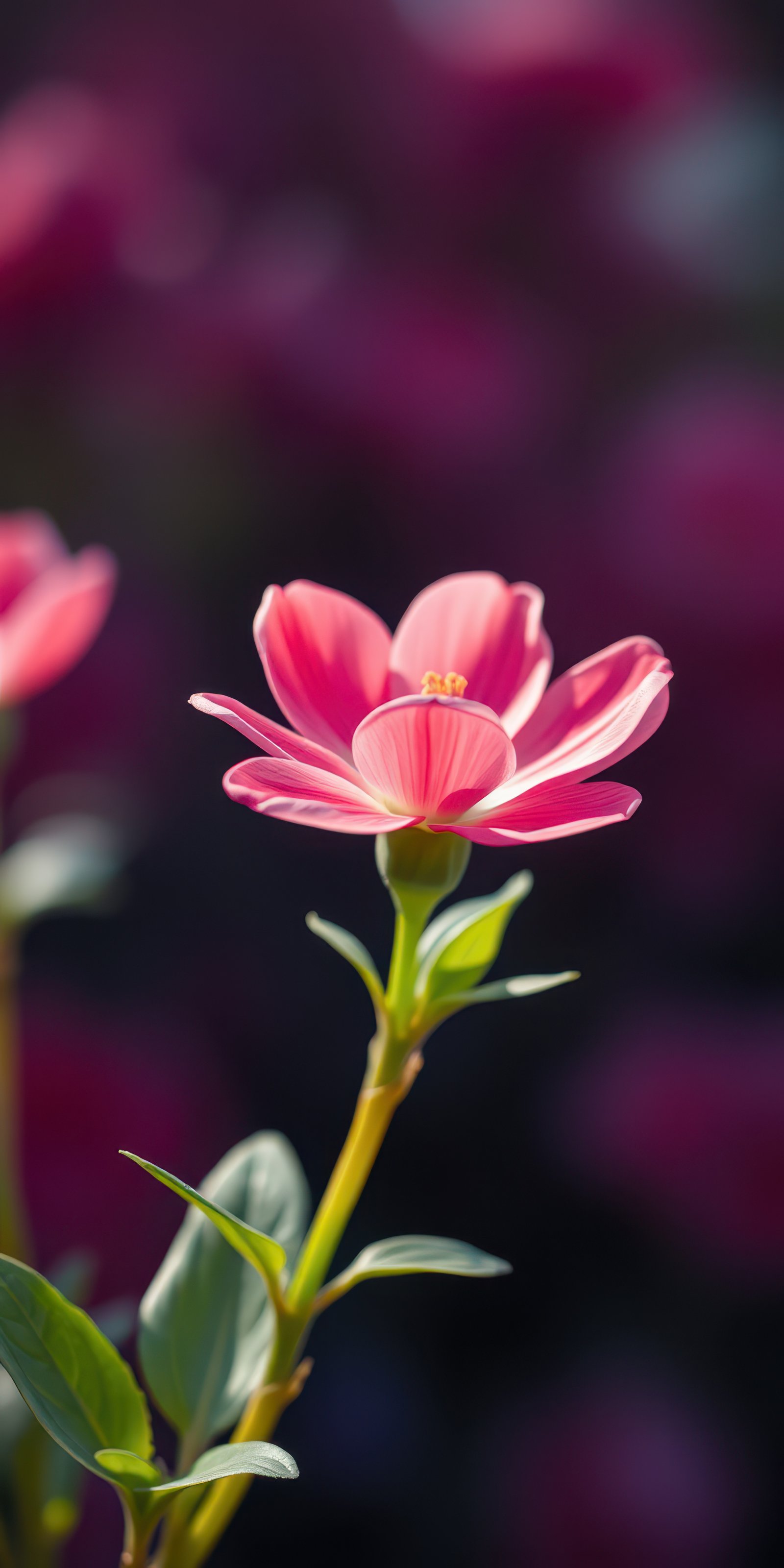 Bright pink flower blooming in a vibrant garden during midday, showcasing delicate petals and lush green leaves